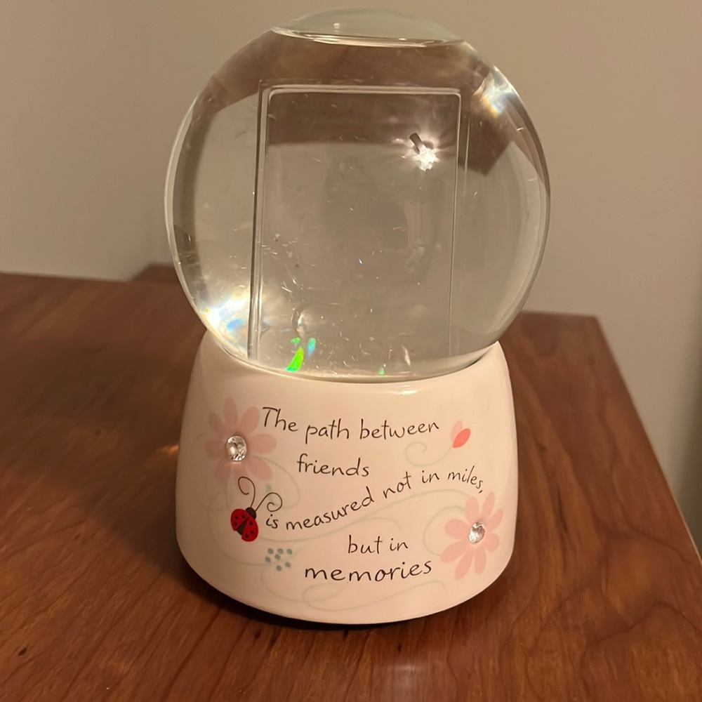 Friendship snow globe